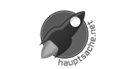 Logo: Hauptsache.net