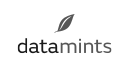 Logo: datamints